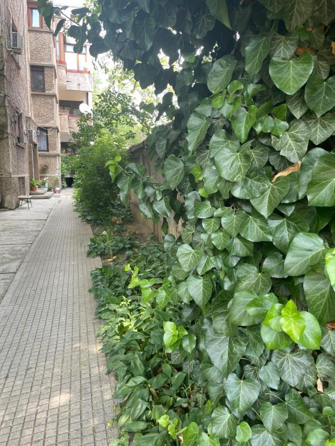 Old City Centre - Unforgettable House Bukarest Exterior foto